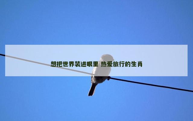 想把世界装进眼里 热爱旅行的生肖
