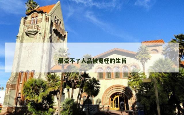 最受不了人品被冤枉的生肖
