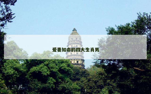 爱妻如命的四大生肖男
