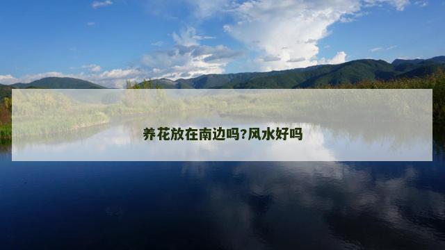养花放在南边吗?风水好吗