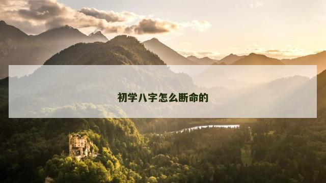 初学八字怎么断命的