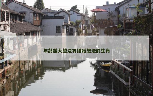 年龄越大越没有结婚想法的生肖
