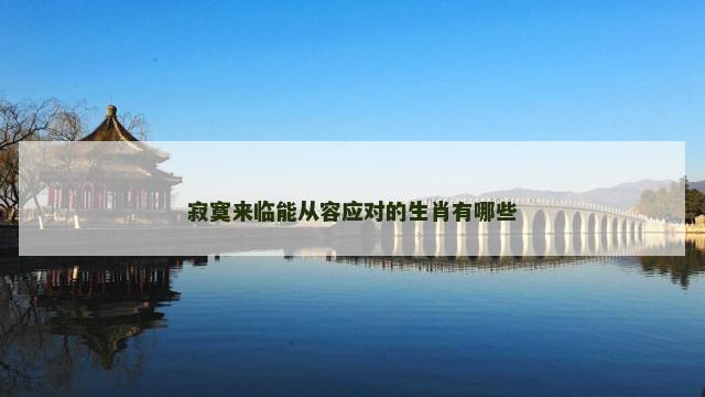 寂寞来临能从容应对的生肖有哪些