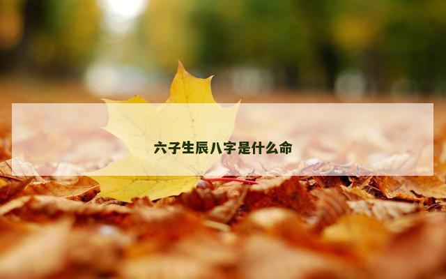 六子生辰八字是什么命