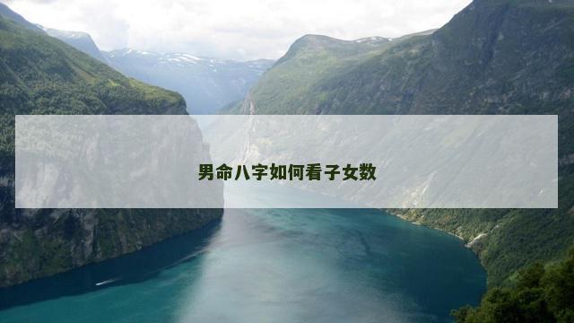 男命八字如何看子女数