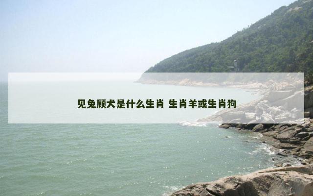 见兔顾犬是什么生肖 生肖羊或生肖狗