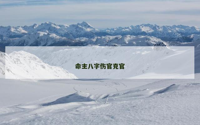 命主八字伤官克官
