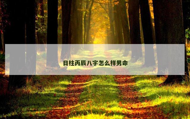 日柱丙辰八字怎么样男命
