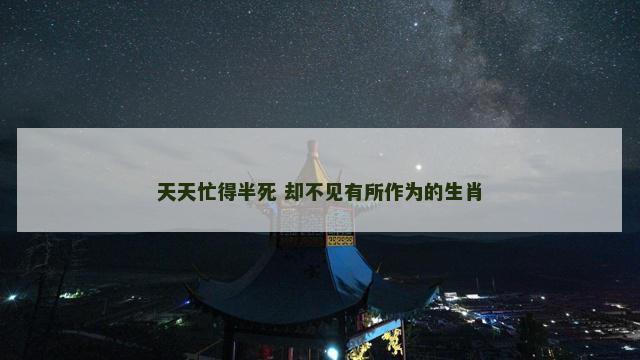 天天忙得半死 却不见有所作为的生肖