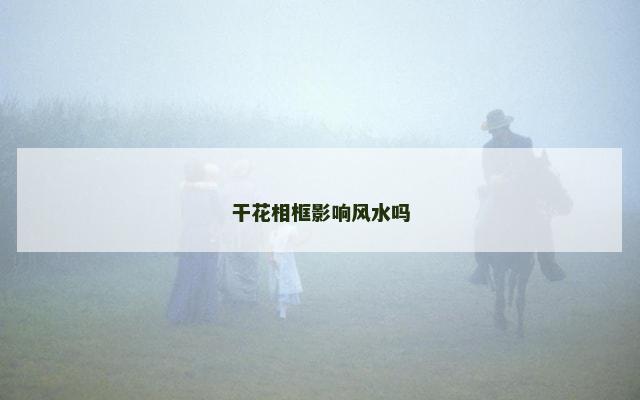 干花相框影响风水吗