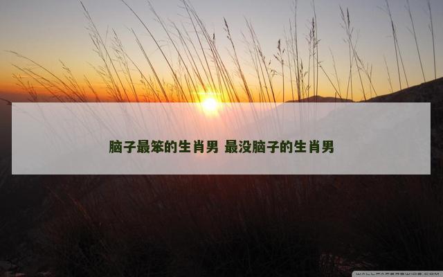 脑子最笨的生肖男 最没脑子的生肖男