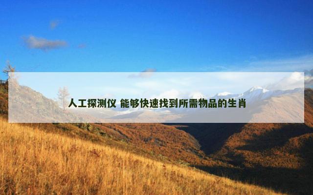 人工探测仪 能够快速找到所需物品的生肖
