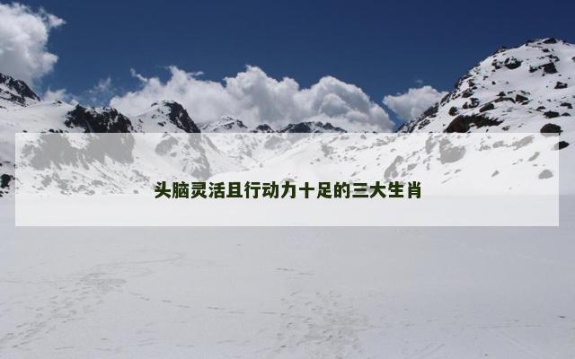头脑灵活且行动力十足的三大生肖