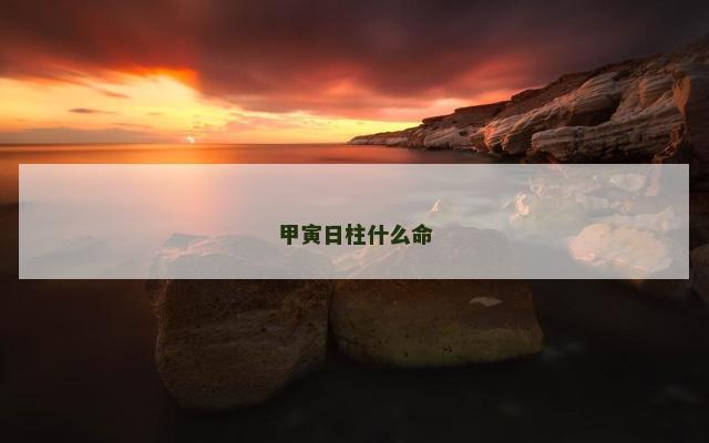 甲寅日柱什么命