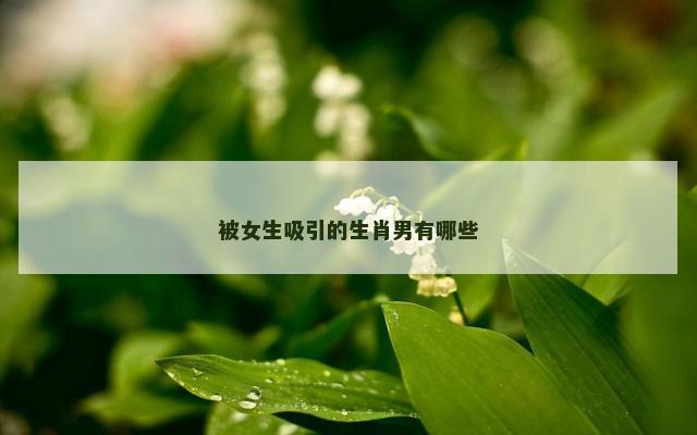 被女生吸引的生肖男有哪些
