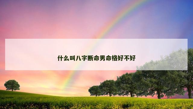 什么叫八字断命男命格好不好