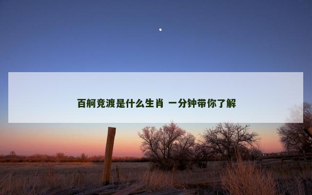 百舸竞渡是什么生肖 一分钟带你了解