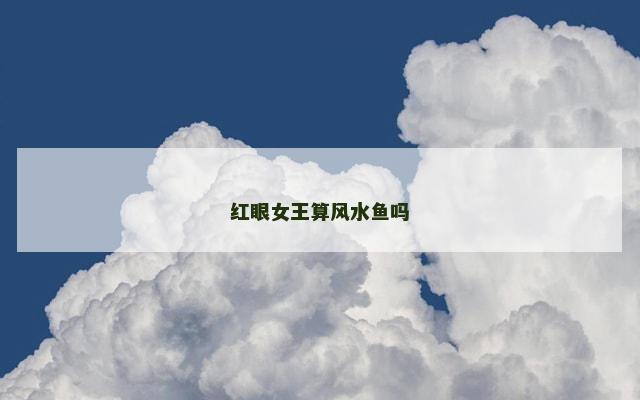 红眼女王算风水鱼吗