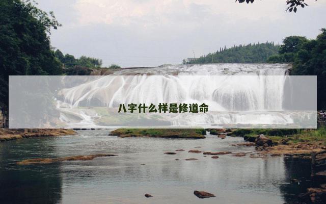 八字什么样是修道命