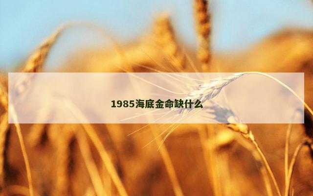 1985海底金命缺什么