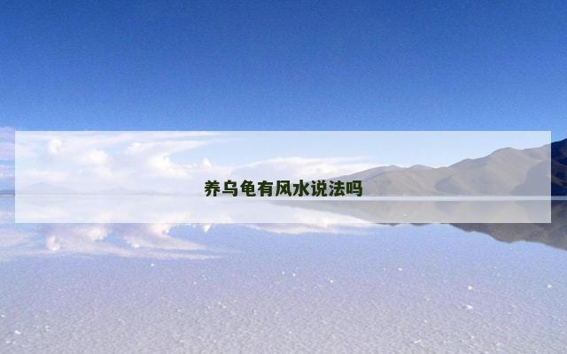 养乌龟有风水说法吗