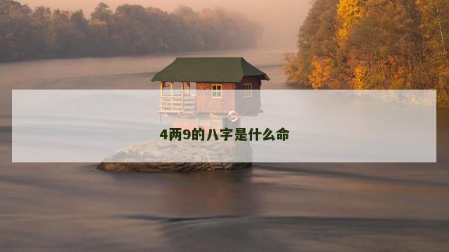 4两9的八字是什么命