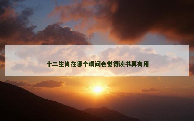 十二生肖在哪个瞬间会觉得读书真有用