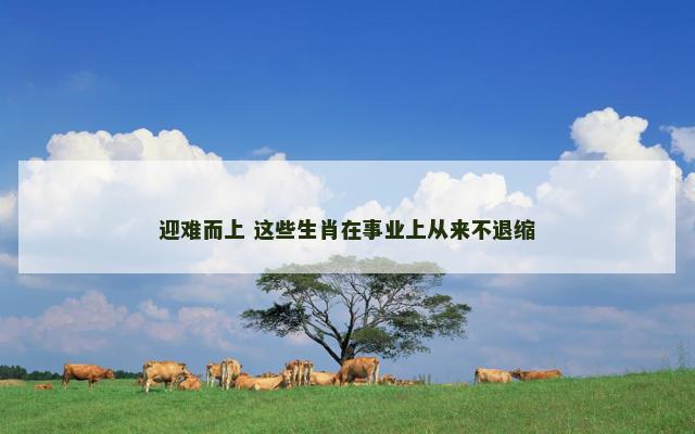 迎难而上 这些生肖在事业上从来不退缩