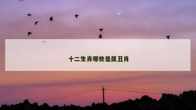 十二生肖哪些是属丑肖