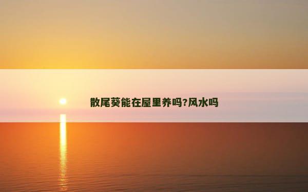 散尾葵能在屋里养吗?风水吗