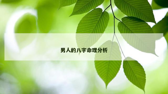 男人的八字命理分析