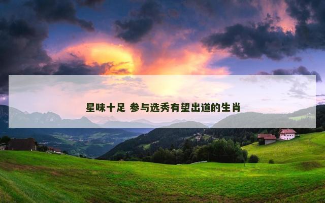 星味十足 参与选秀有望出道的生肖