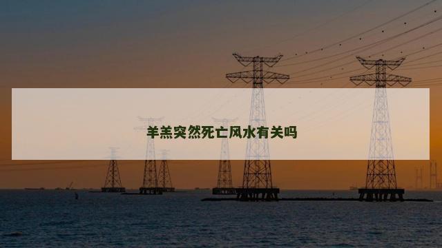 羊羔突然死亡风水有关吗