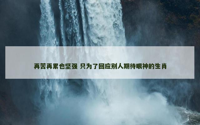 再苦再累也坚强 只为了回应别人期待眼神的生肖
