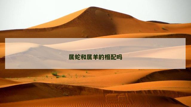 属蛇和属羊的相配吗