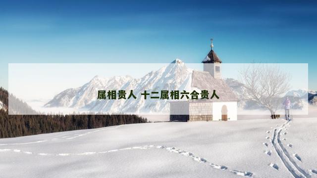 属相贵人 十二属相六合贵人
