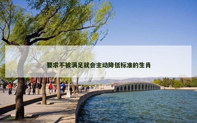 要求不被满足就会主动降低标准的生肖