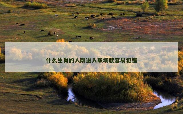 什么生肖的人刚进入职场就容易犯错