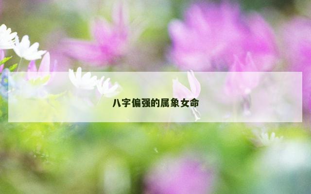 八字偏强的属象女命