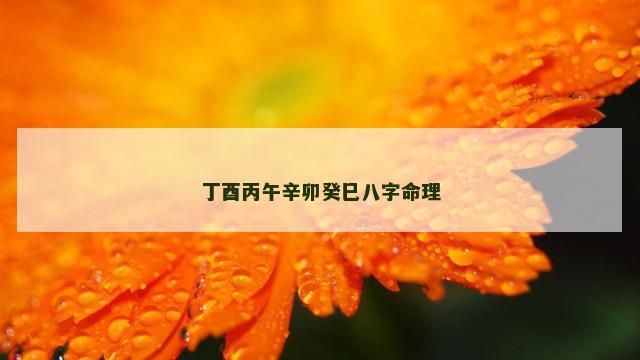 丁酉丙午辛卯癸巳八字命理