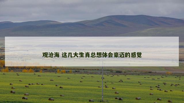 观沧海 这几大生肖总想体会豪迈的感觉
