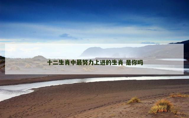 十二生肖中最努力上进的生肖 是你吗