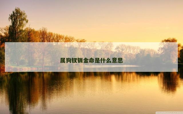 属狗钗钏金命是什么意思