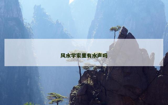 风水学家里有水声吗