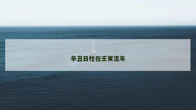 辛丑日柱在壬寅流年