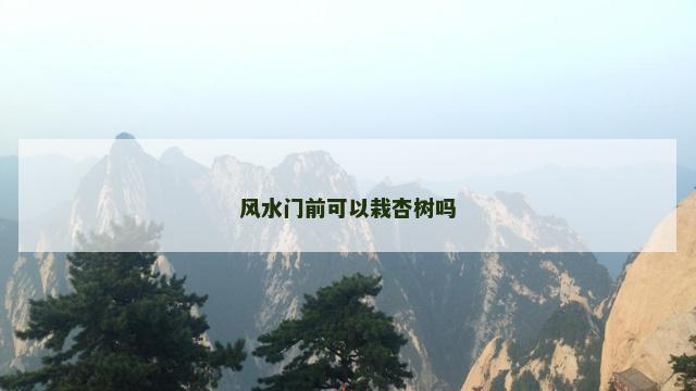 风水门前可以栽杏树吗