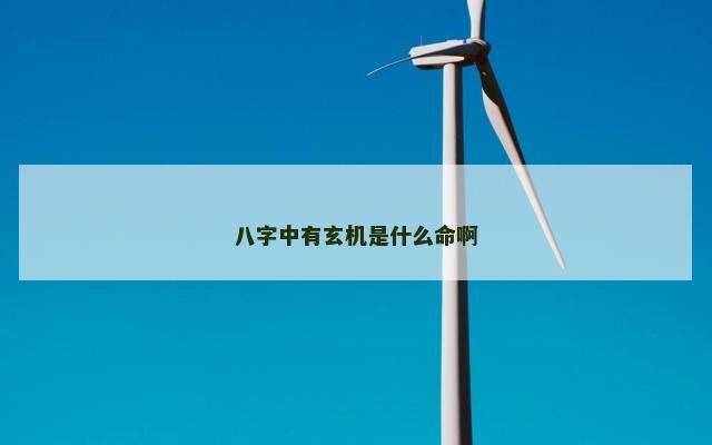 八字中有玄机是什么命啊