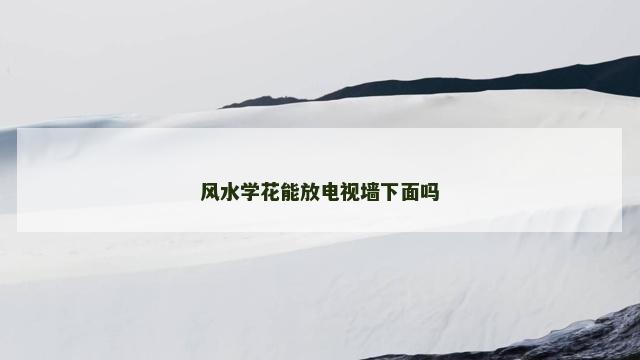 风水学花能放电视墙下面吗