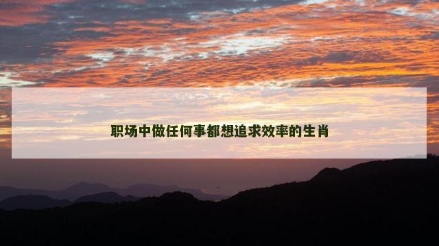 职场中做任何事都想追求效率的生肖