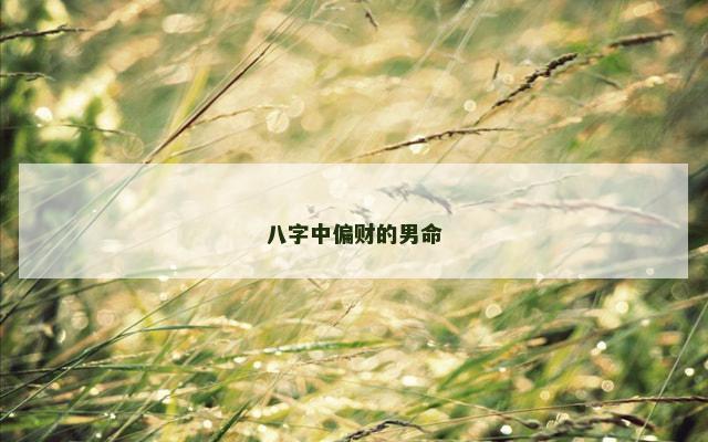 八字中偏财的男命